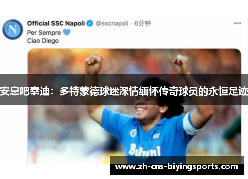 安息吧泰迪：多特蒙德球迷深情缅怀传奇球员的永恒足迹