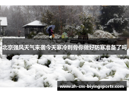 北京强风天气来袭今天寒冷刺骨你做好防寒准备了吗