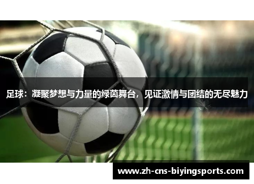 足球：凝聚梦想与力量的绿茵舞台，见证激情与团结的无尽魅力