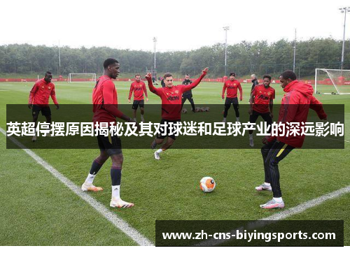 英超停摆原因揭秘及其对球迷和足球产业的深远影响 英超停摆原因揭秘及其对球迷和足球产业的深远影响