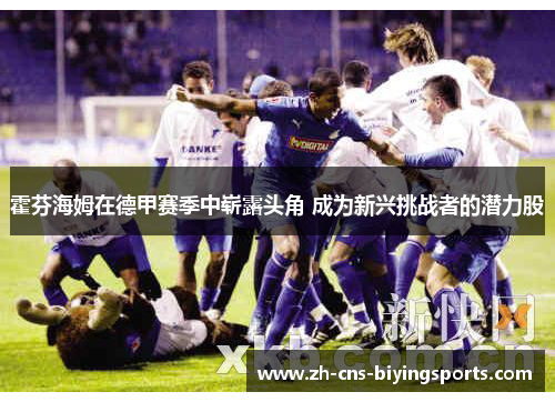 霍芬海姆在德甲赛季中崭露头角 成为新兴挑战者的潜力股
